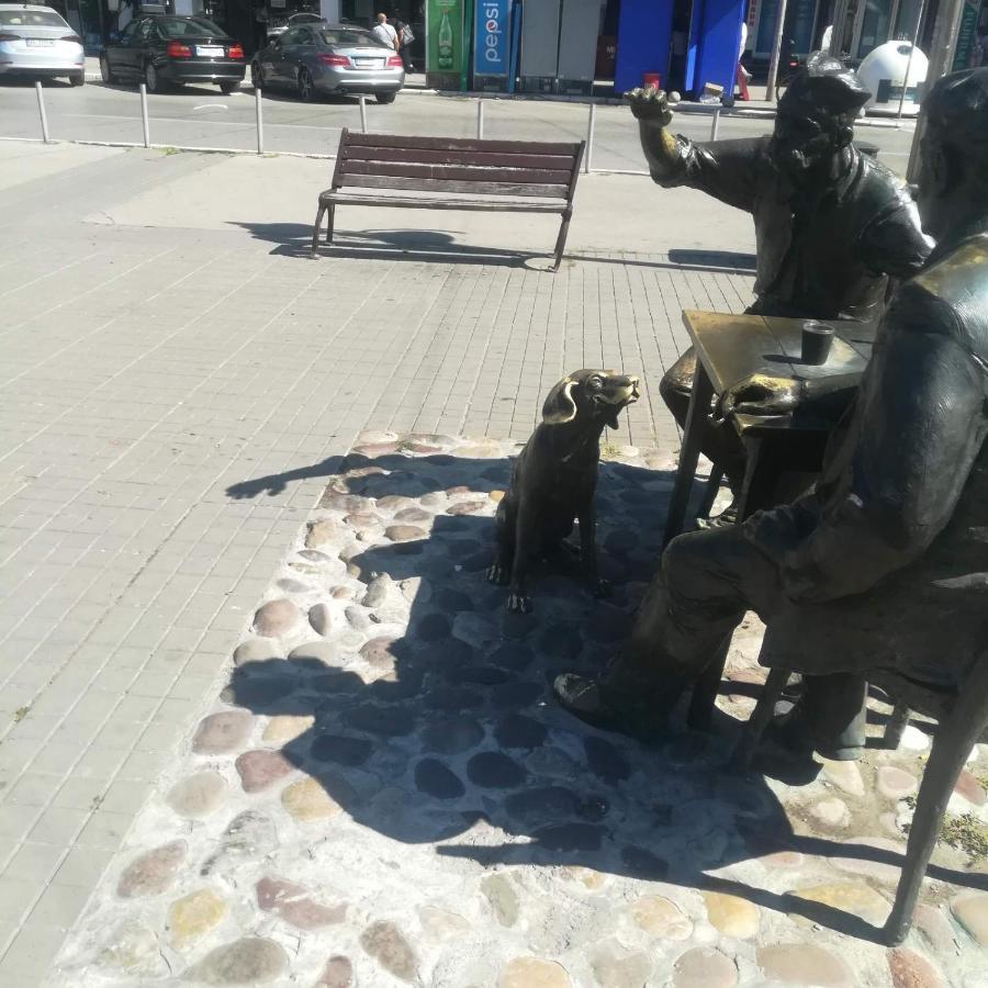 Suvi Centar Daire Ni Dış mekan fotoğraf